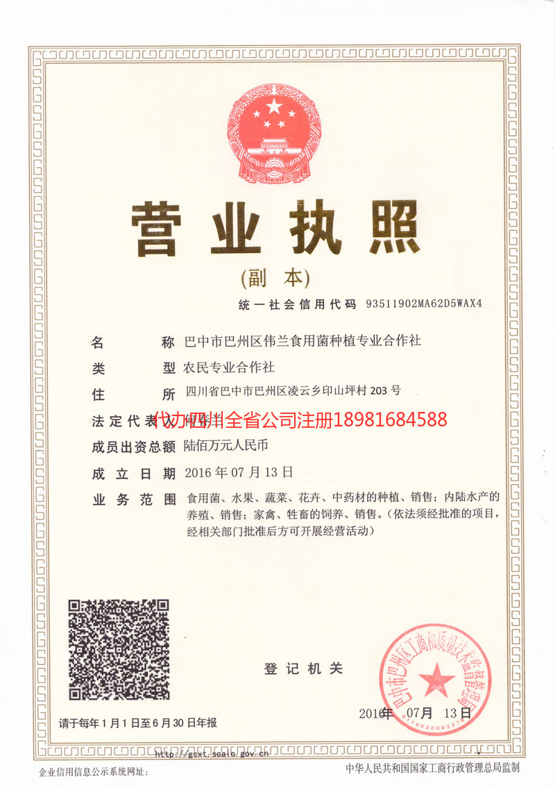 伊春伊春伟兰食用菌种植专业合作社